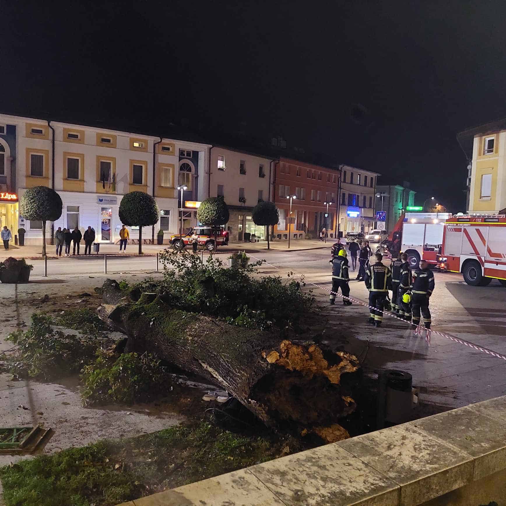 Danes so sporočili tragično vest. Ženska, na katero se je sinoči na martinovanju podrlo drevo, je ponoči umrla