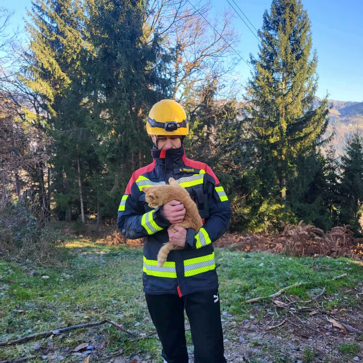 Še ena požrtvovalna akcija gasilcev: S 15 metrov višine rešili ujeto muco