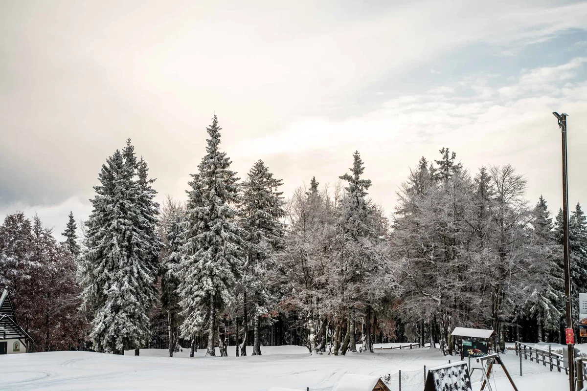 Vabilo na Večer za Pohorje v okviru festivala Brati gore