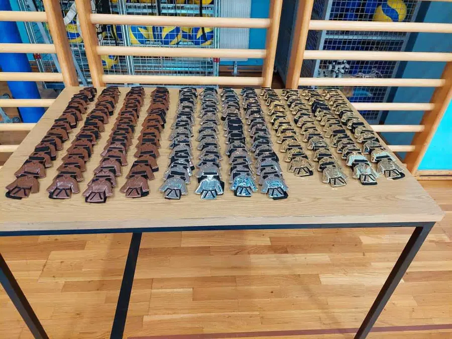 Odlične uvrstitve Koroških karateistk in karateistov na 2. Pokalnem turnirju JKA karateja