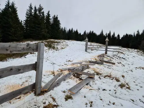 Vandalizem v škodo ogroženih živalskih vrst na Pohorju