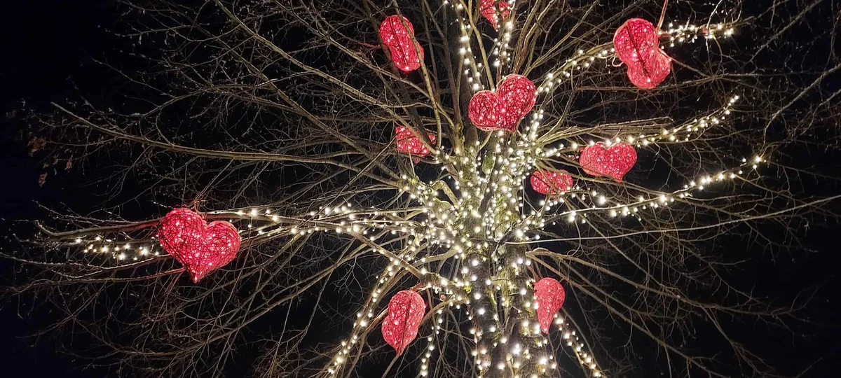 Danes bodo v Črni na Koroškem otvorili letošnje Božičkovo domovanje