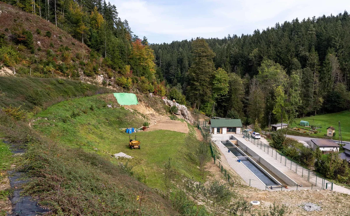 Odkrijte skrivnosti idiličnega Ribnika Šarenka, kjer vam vsak dan ponujajo sveže postrvi