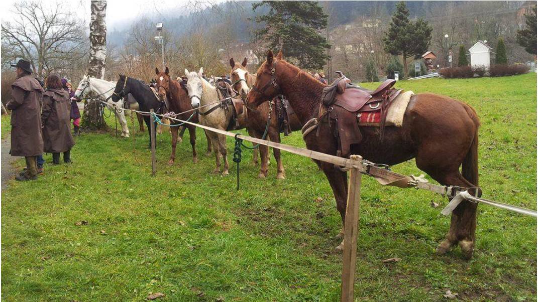 Na god sv. Štefana po državi tradicionalni blagoslovi konj