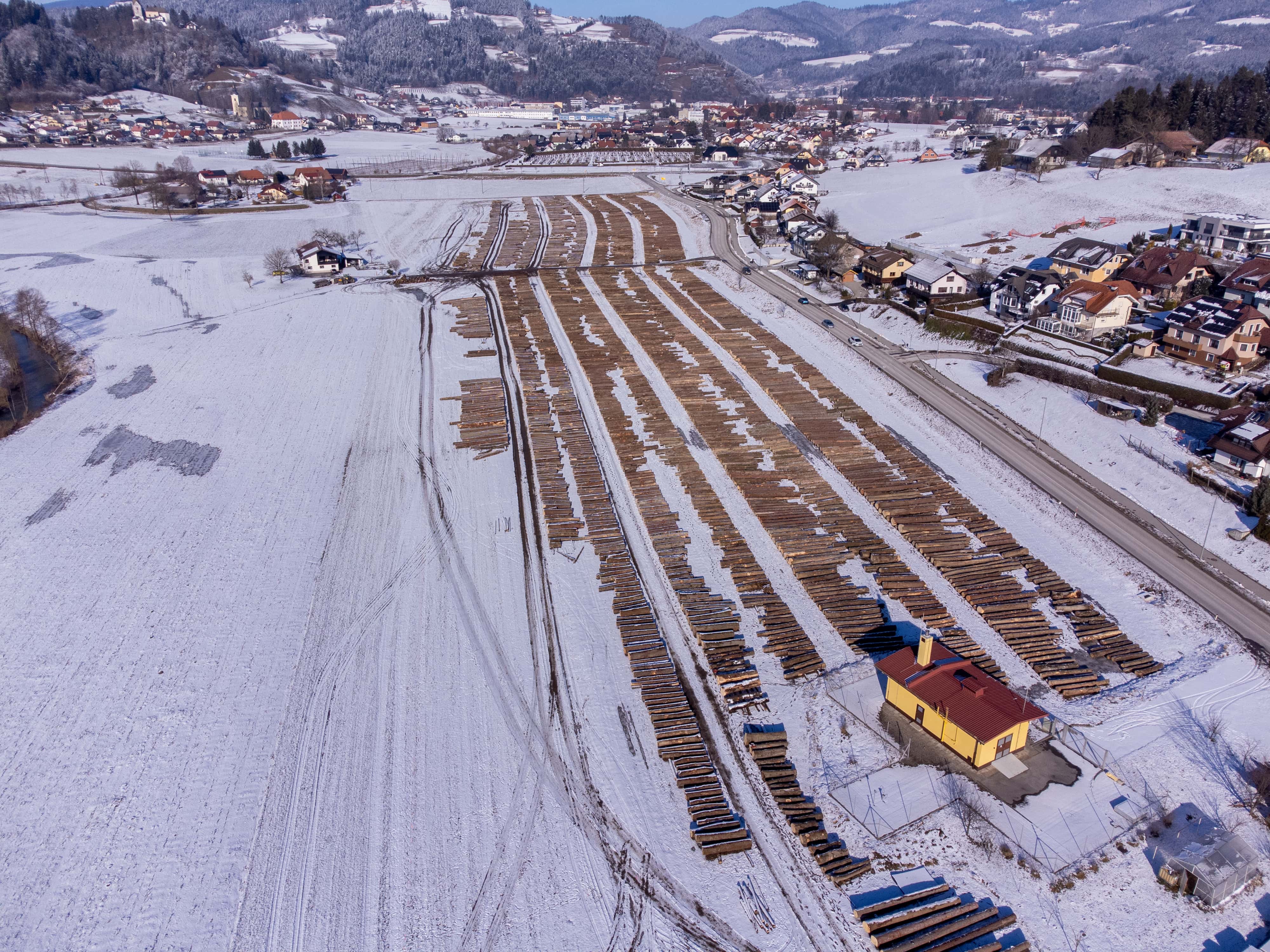 Po oceni organizatorjev na licitaciji najbolj kakovosten les doslej