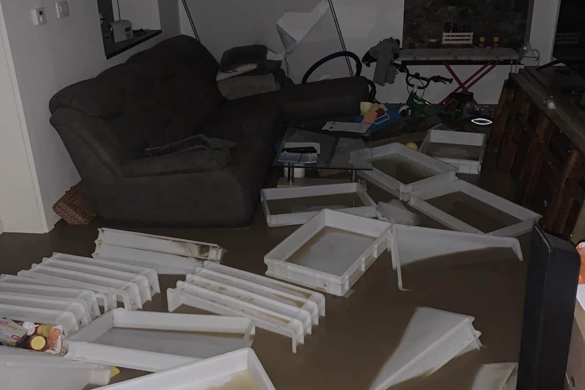 Inšpektorat z nasveti glede najemanja storitev za obnovo