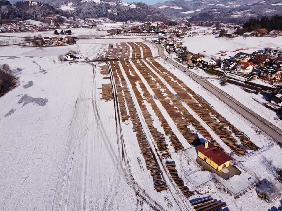 Prvi kupci že med izbrano hlodovino