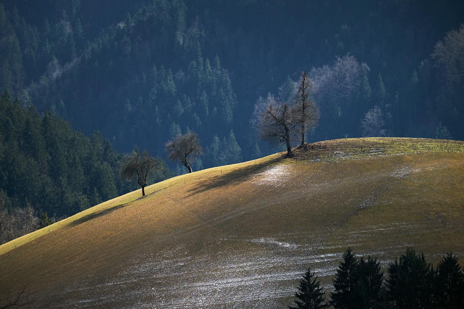 Vaška skupnost Sele-Vrhe praznuje