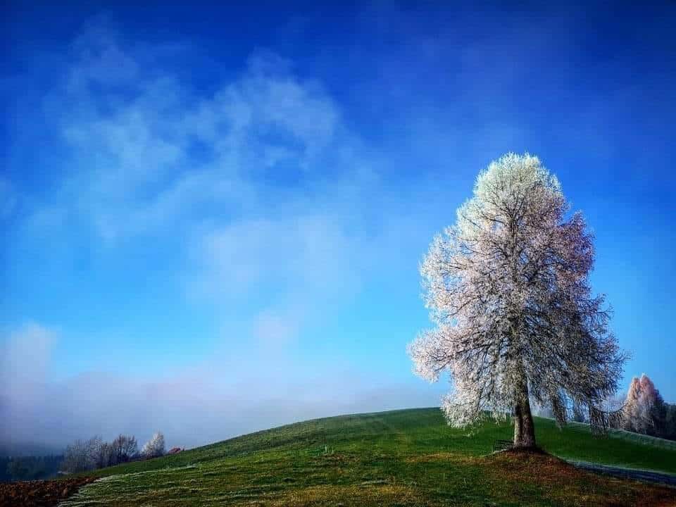Vreme: Na vzhodu deloma jasno, drugod pretežno oblačno
