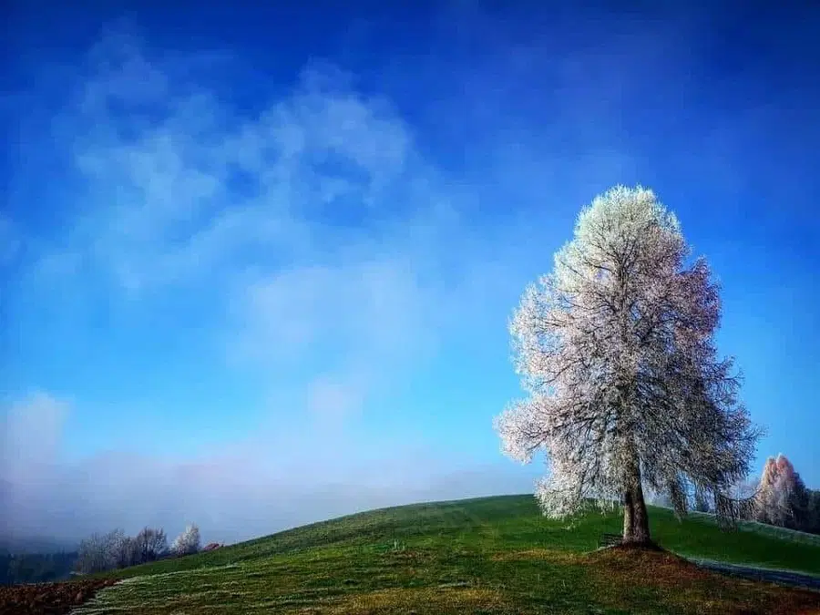 Vreme: Na vzhodu deloma jasno, drugod pretežno oblačno