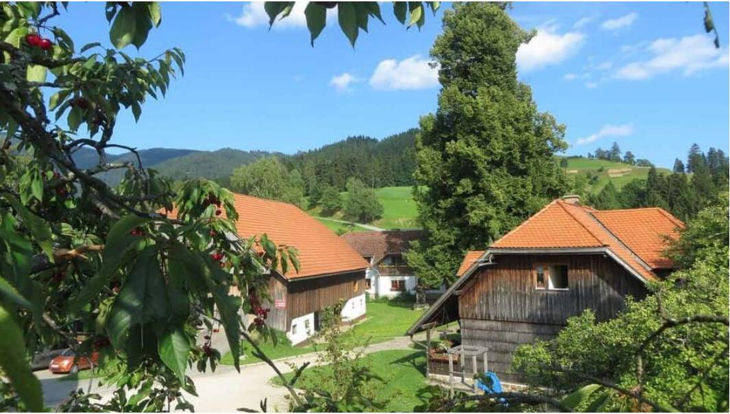 Ujma okrnila lanski turistični obisk Koroške, na izpad opozorile turistične kmetije