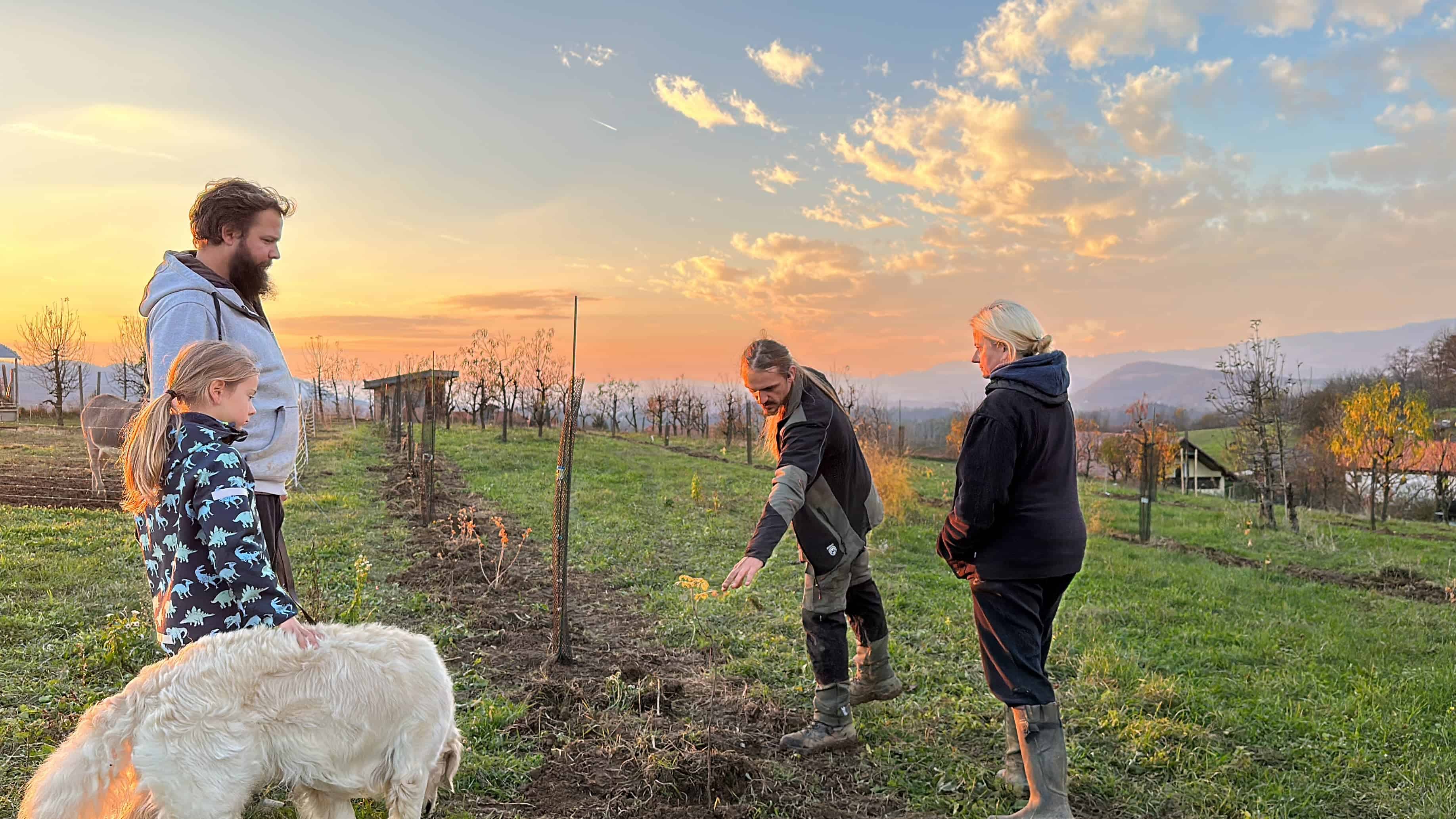 Ne sadimo vrtov, ampak samooskrbne in užitne ekosisteme