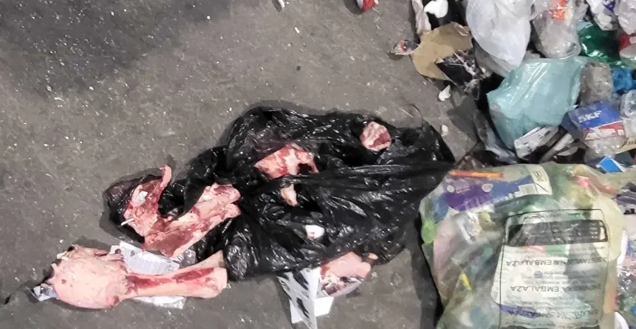 Stanje neodgovornega odlaganja odpadkov: Kako ga ustaviti?