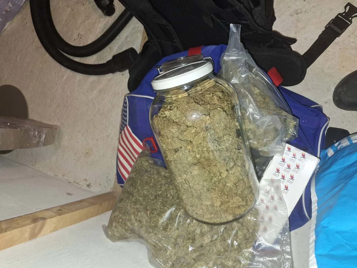 Policisti ta teden zasegli več kokaina in konoplje