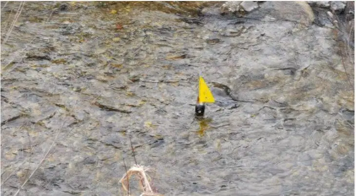 Gregorjevo naznanja začetek pomladi