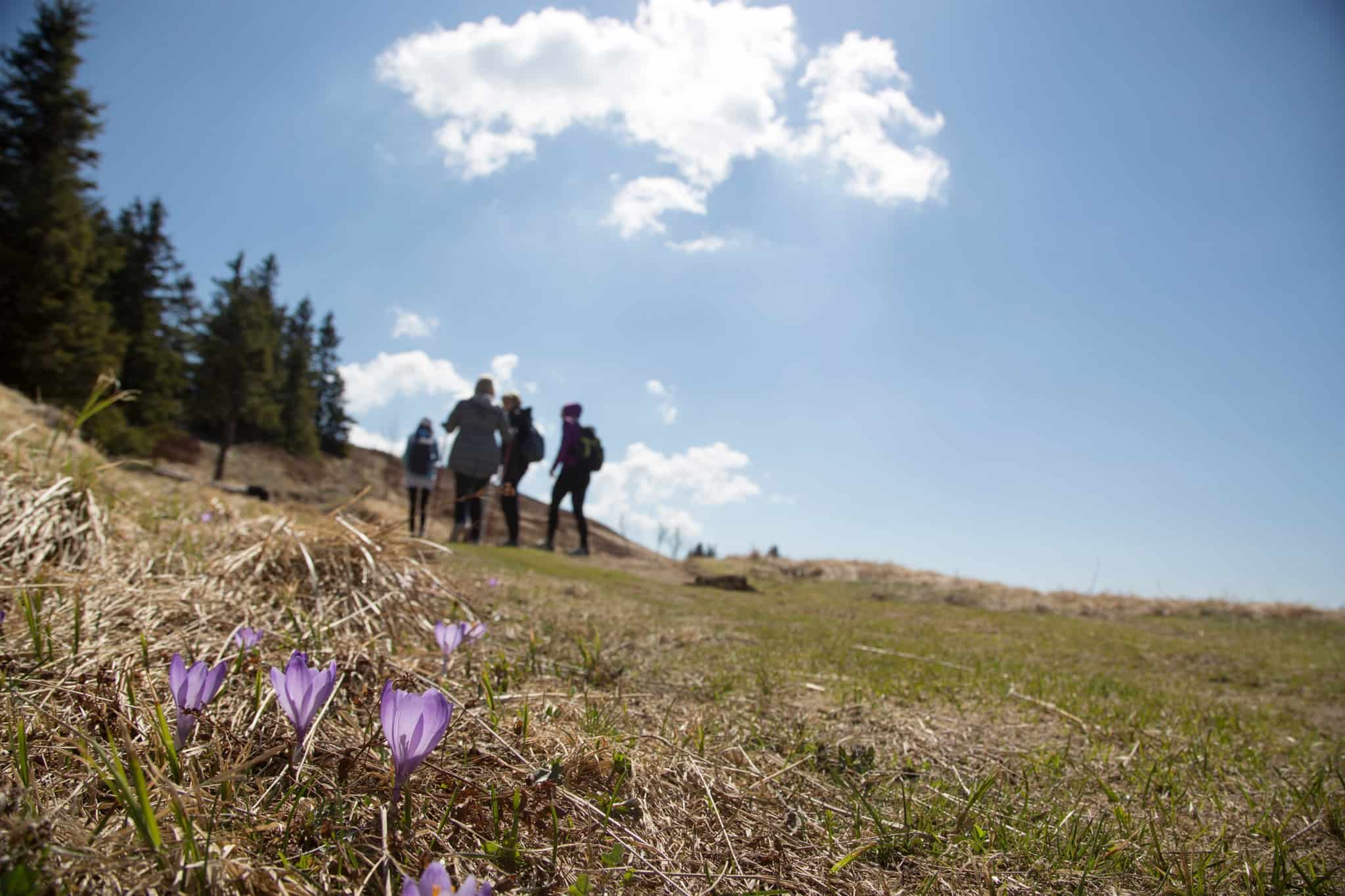 Vreme: Povečini sončno