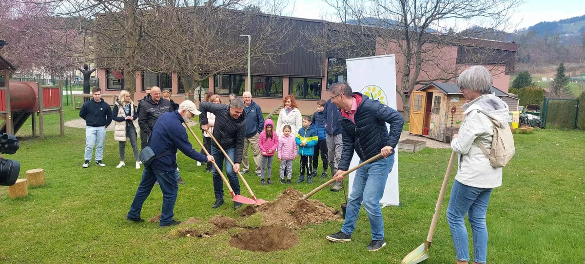V Vuzenici so zasadili medovita drevesa v sodelovanju z Rotary klubom Maribor park