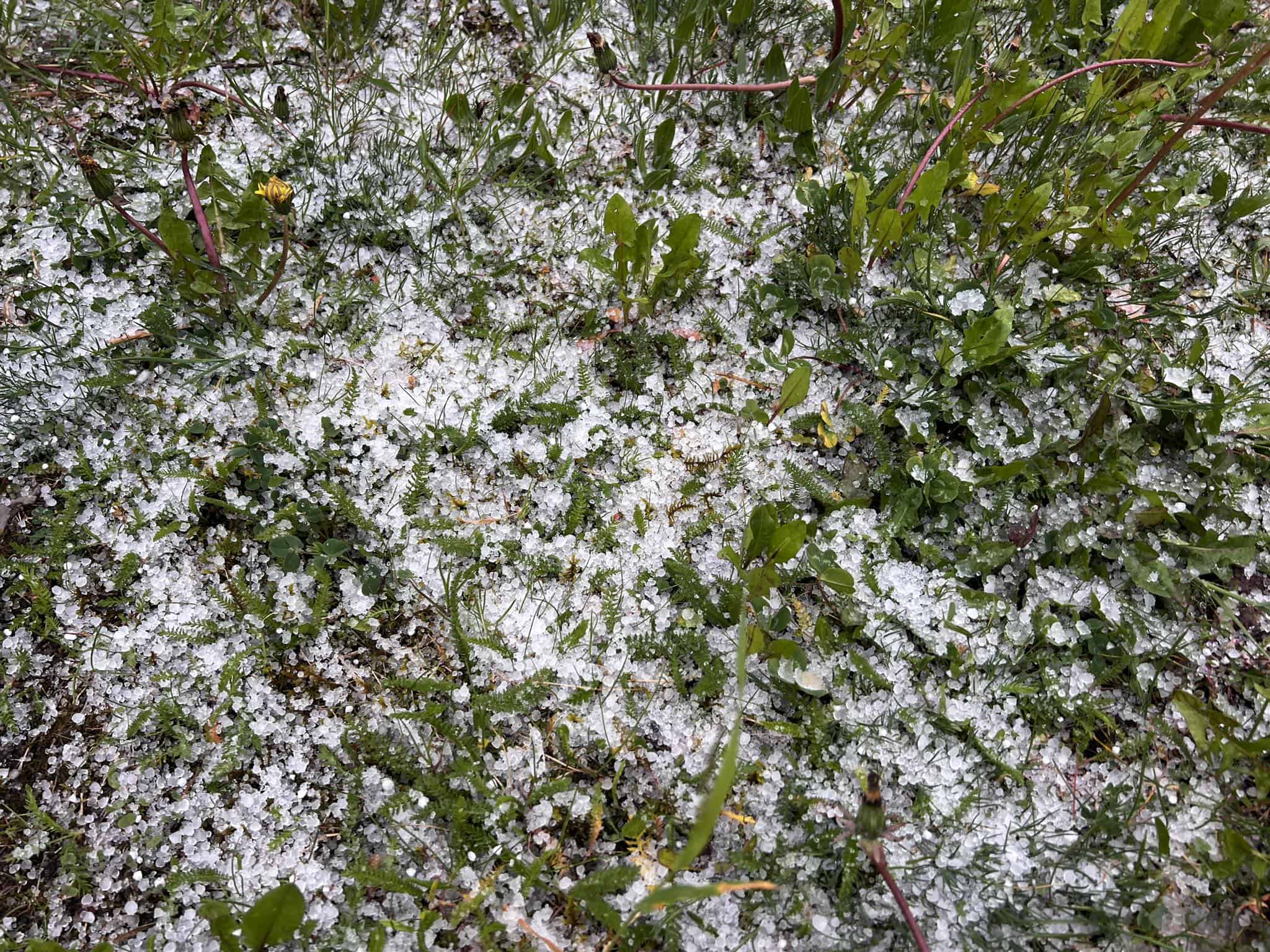 Na Koroškem že dežuje, med dežjem tudi ledena sodra