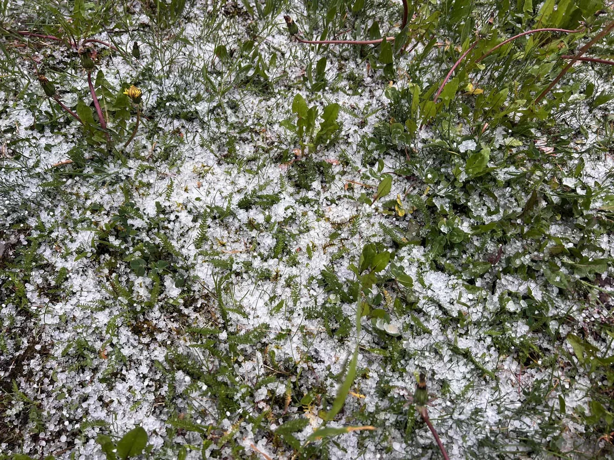 Na Koroškem že dežuje, med dežjem tudi ledena sodra