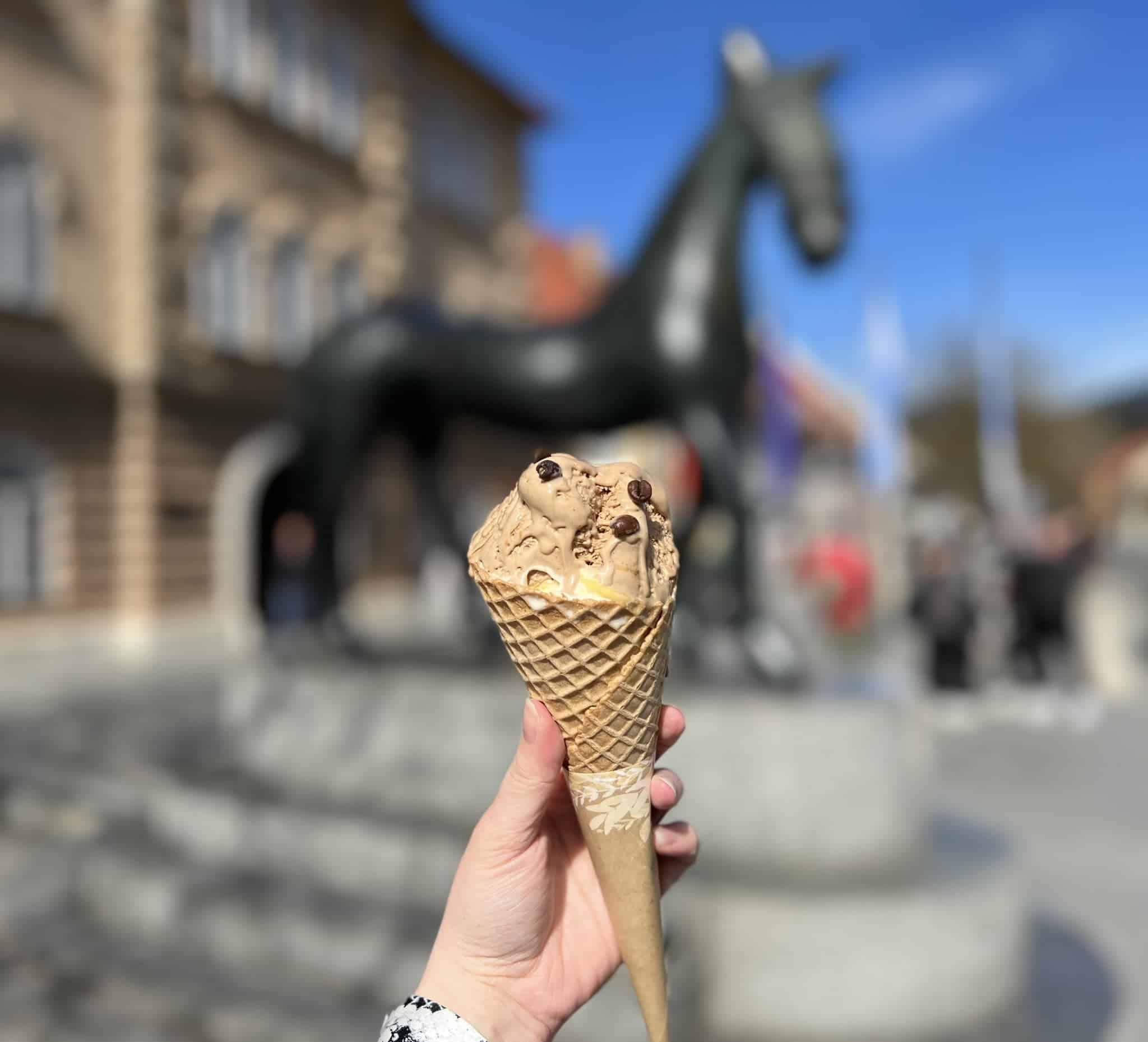 Danes je dan sladoleda