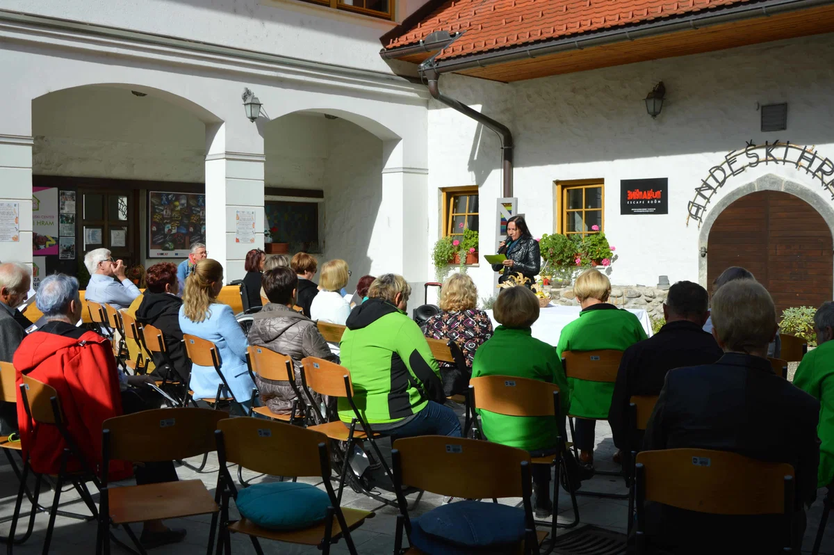 Izobraževanje odraslih na MOCIS-u: Ključ do novih priložnosti