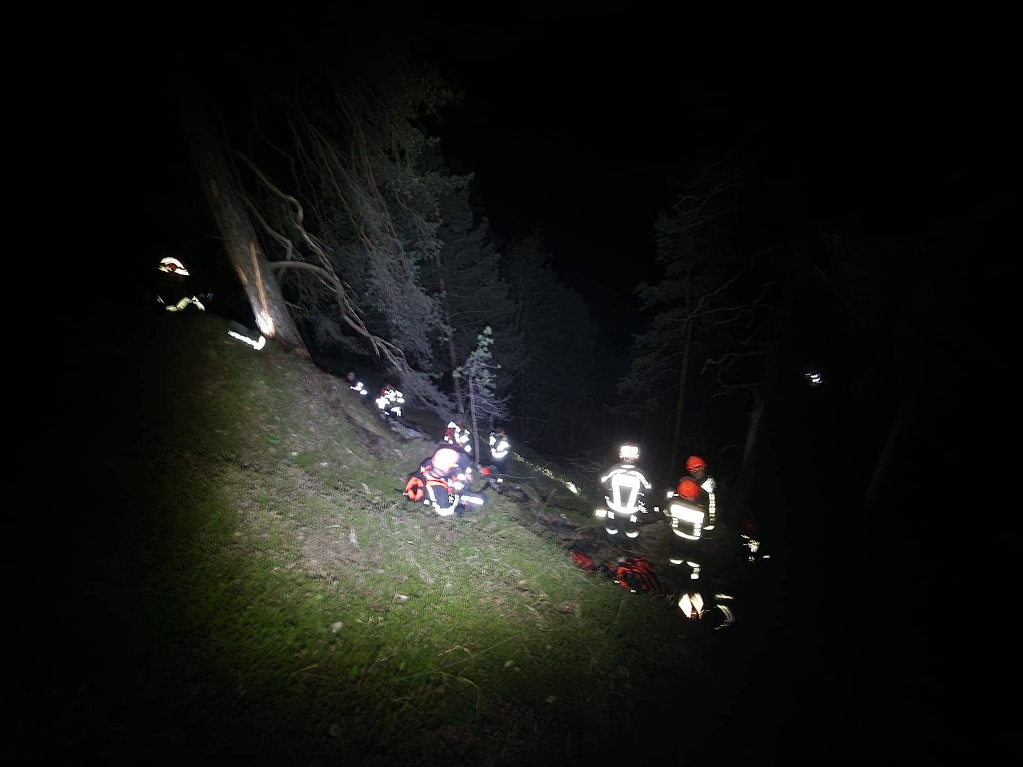 FOTO: Gasilci posredovali pri požaru v gozdu v Žerjavu