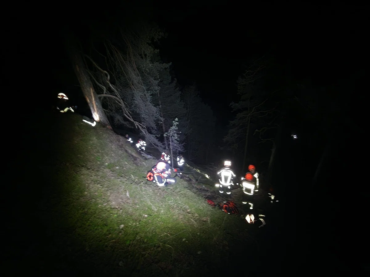 FOTO: Gasilci posredovali pri požaru v gozdu v Žerjavu