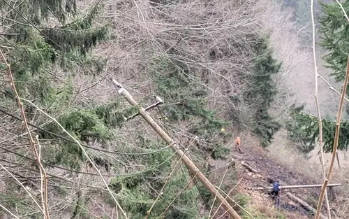 V Spodnjem Razborju veter podrl drevesa na daljnovod. Posledično je prišlo do požara (FOTO)