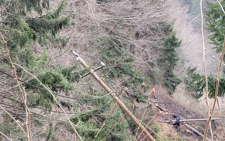 V Spodnjem Razborju veter podrl drevesa na daljnovod. Posledično je prišlo do požara (FOTO)
