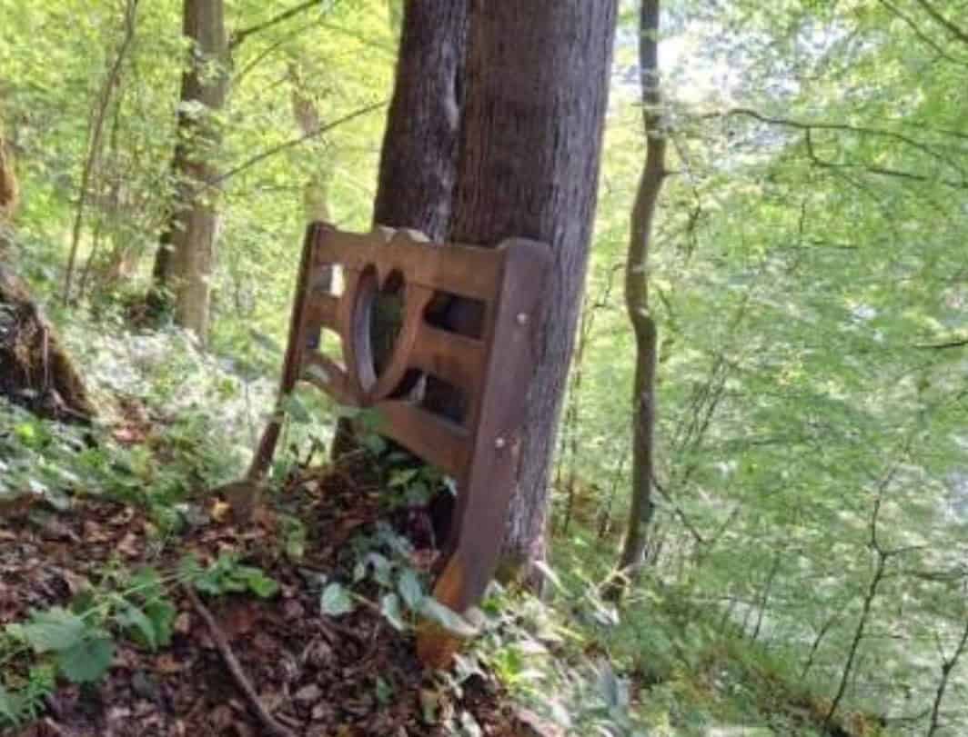 Odkritje klopce ljubezni na Starem gradu