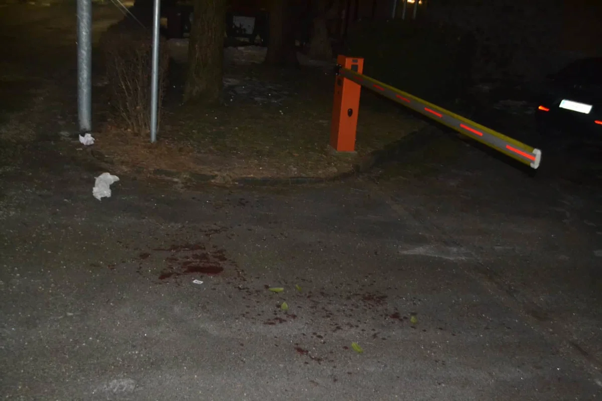 Šest mladoletnikov in ena polnoletna oseba v pretepu poškodovali dva mladoletnika