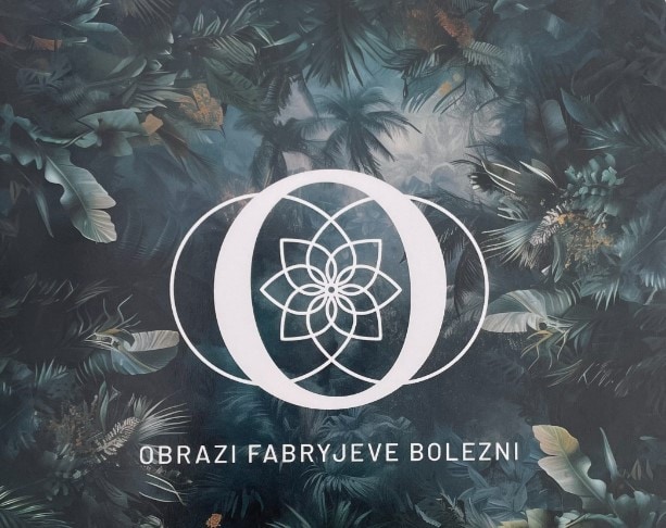 V Knjižnici Ksaverja Meška predstavitev knjige "Obrazi Fabryjeve bolezni" s priznanimi strokovnjaki