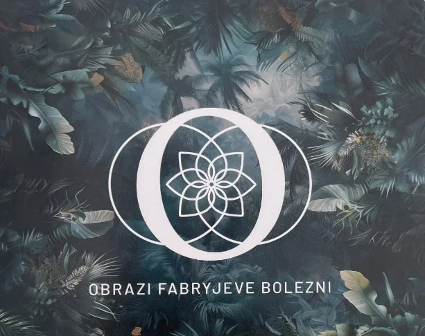 V Knjižnici Ksaverja Meška predstavitev knjige "Obrazi Fabryjeve bolezni" s priznanimi strokovnjaki