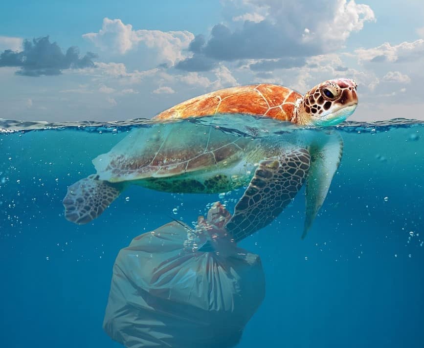 Svetovni dan okolja poziva k skupnemu boju proti onesnaževanju s plastiko