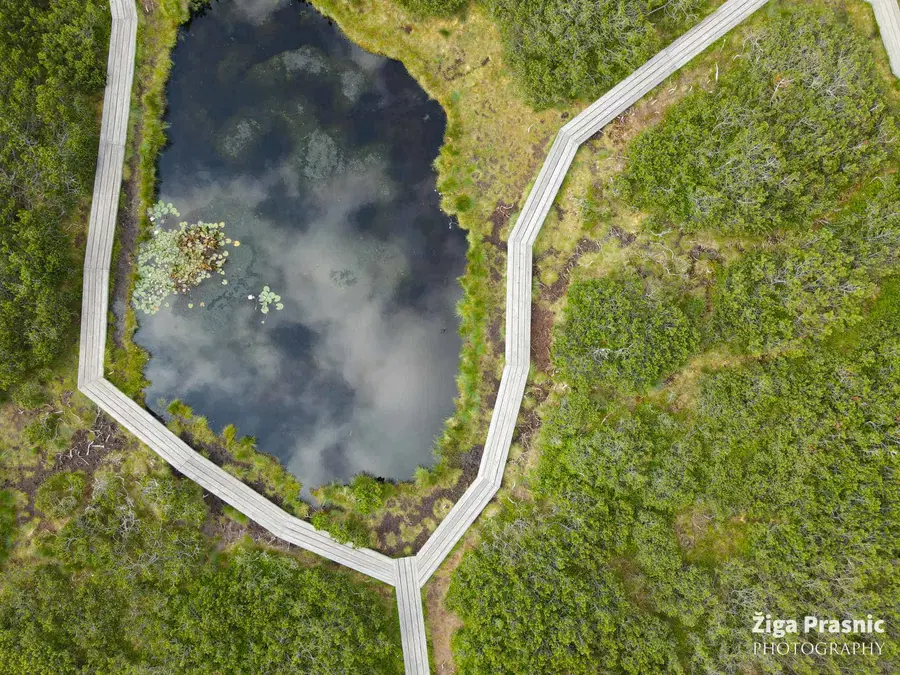 Mineva leto dni od ustanovitve Regijskega parka Pohorje