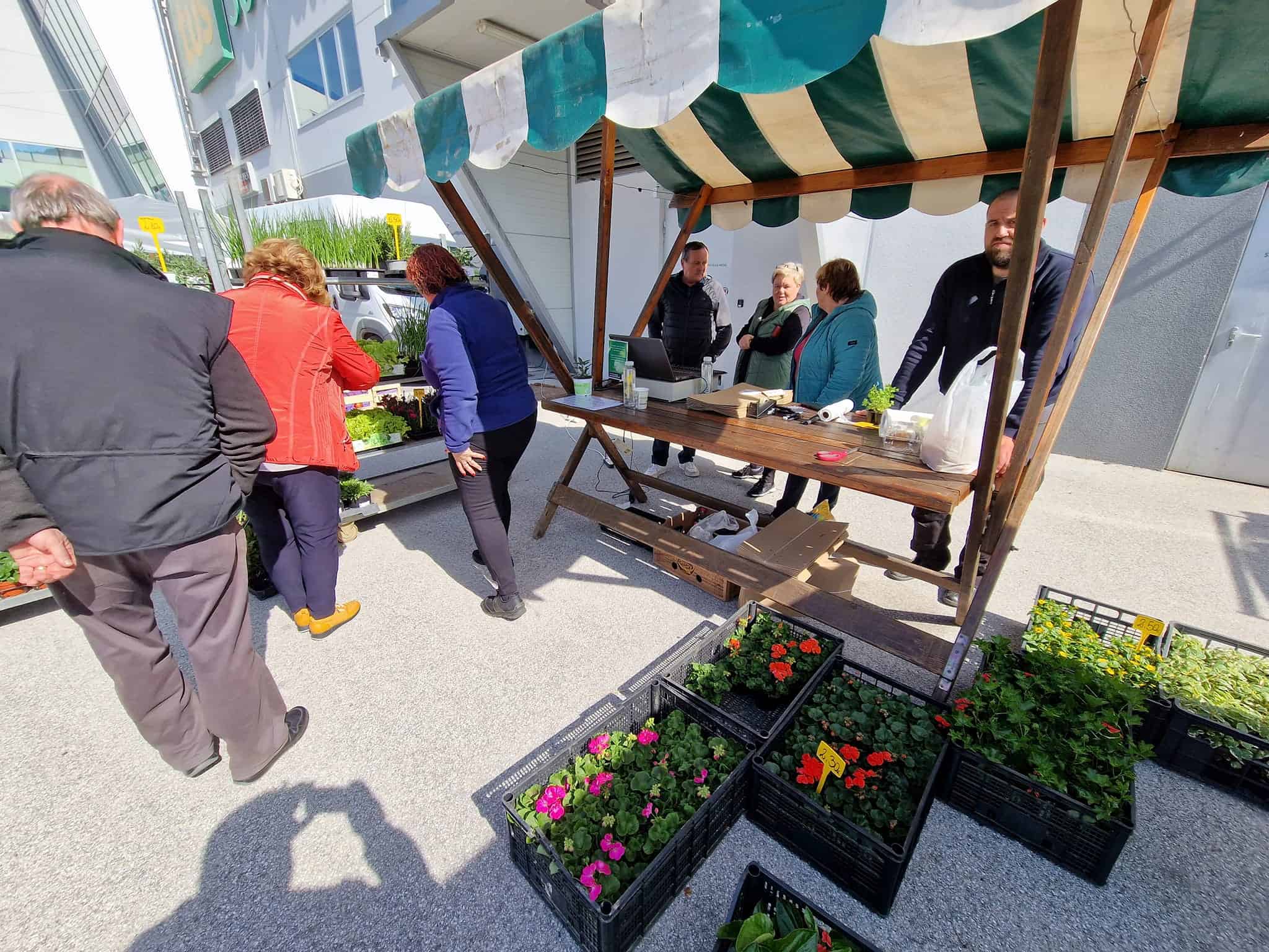 V soboto bo v Mislinji potekal sejem sadik z bogatim dogajanjem