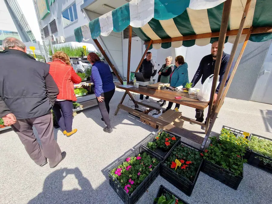 V Mislinji bo to soboto potekal že 40. sejem sadik