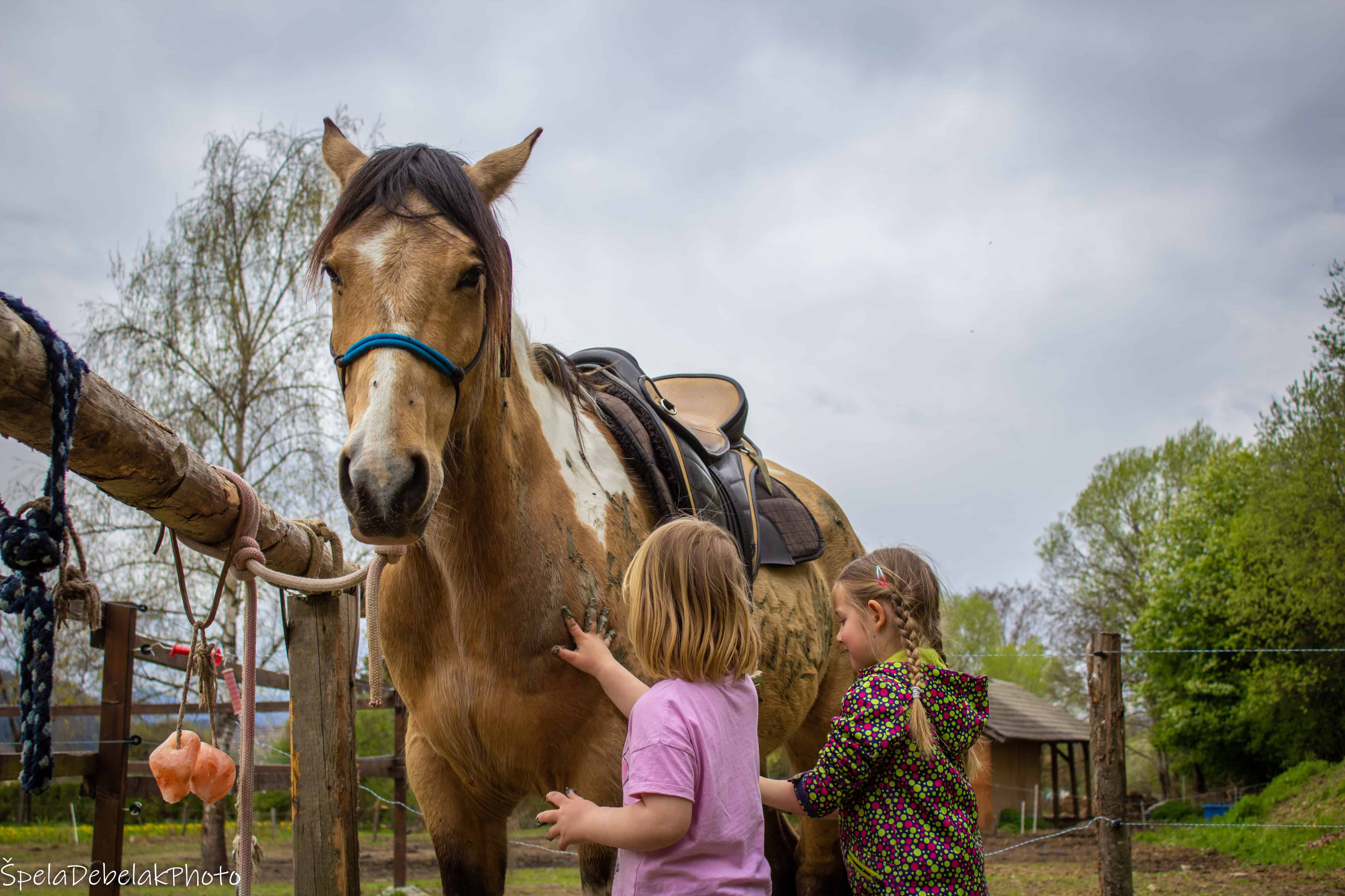 Na Ranču Foltan se že veselijo nove sezone