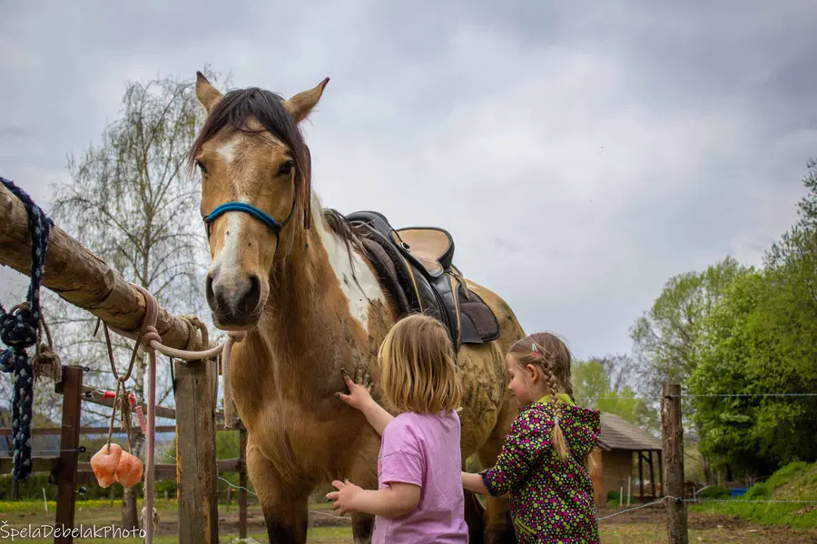 Na Ranču Foltan se že veselijo nove sezone