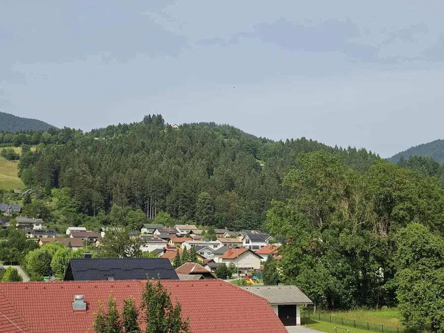 V okolici Mislinje se je izgubil teliček