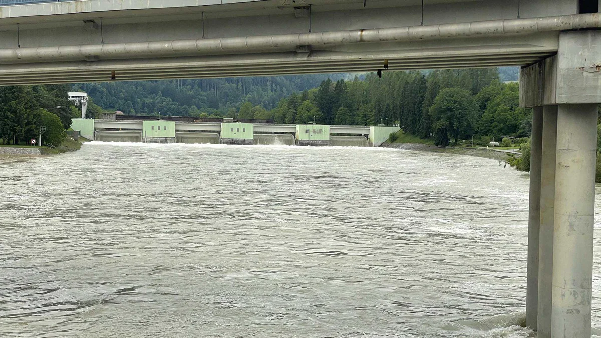 Dravske elektrarne v predelavo lesnega plavja v lesne sekance