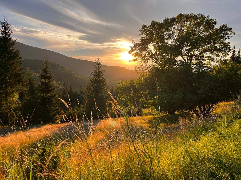 Sončno bo, zvečer je pričakovati nevihte