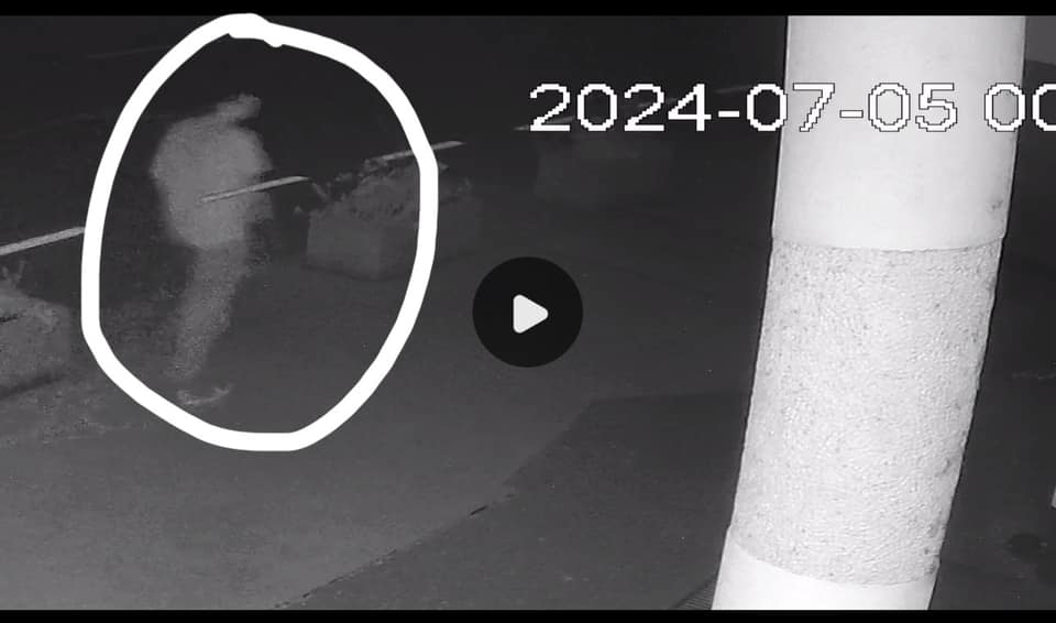 Nepridipravi ukradli sadike izpred Cvetličarne Anja