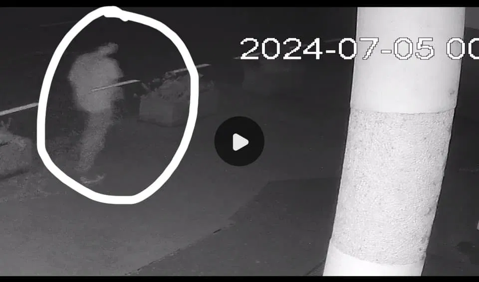 Nepridipravi ukradli sadike izpred Cvetličarne Anja