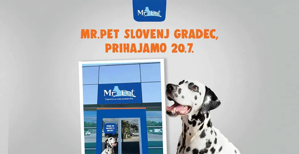 Vsi ljubitelji živali pozor: MR. PET prihaja v Slovenj Gradec