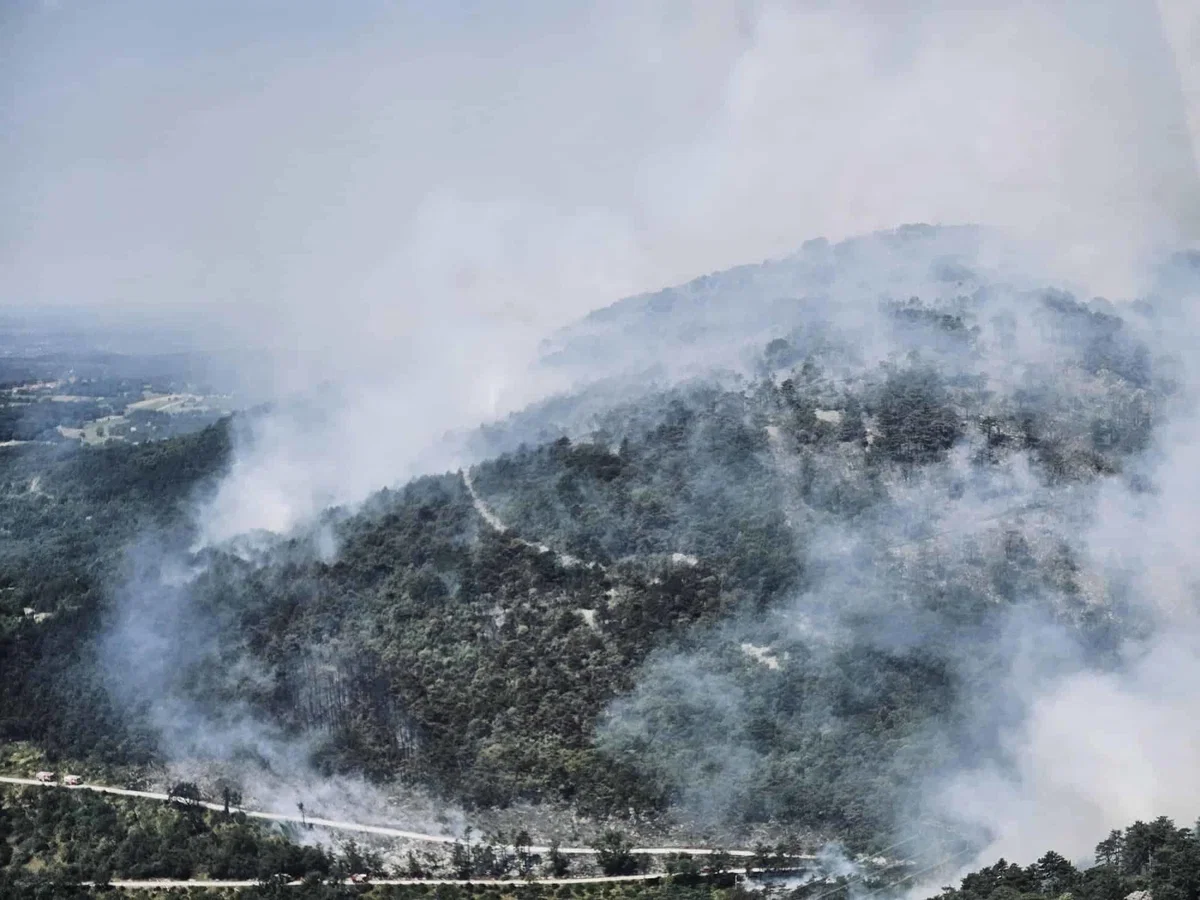 Požar na Krasu pod nadzorom