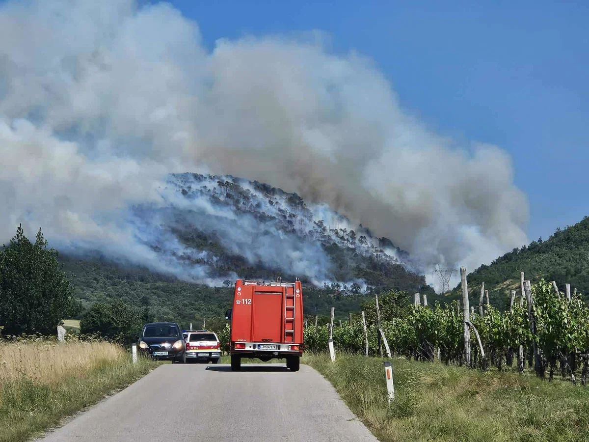 Požar na Krasu ponoči omejili, razmere pod nadzorom