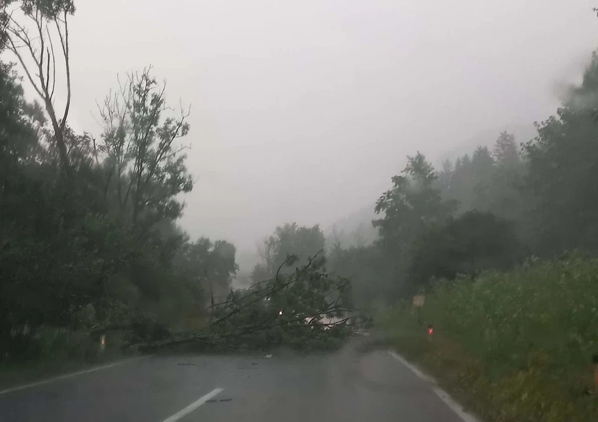 FOTO in VIDEO: Koroško zajelo neurje s točo. Gasilci posredujejo na več lokacijah