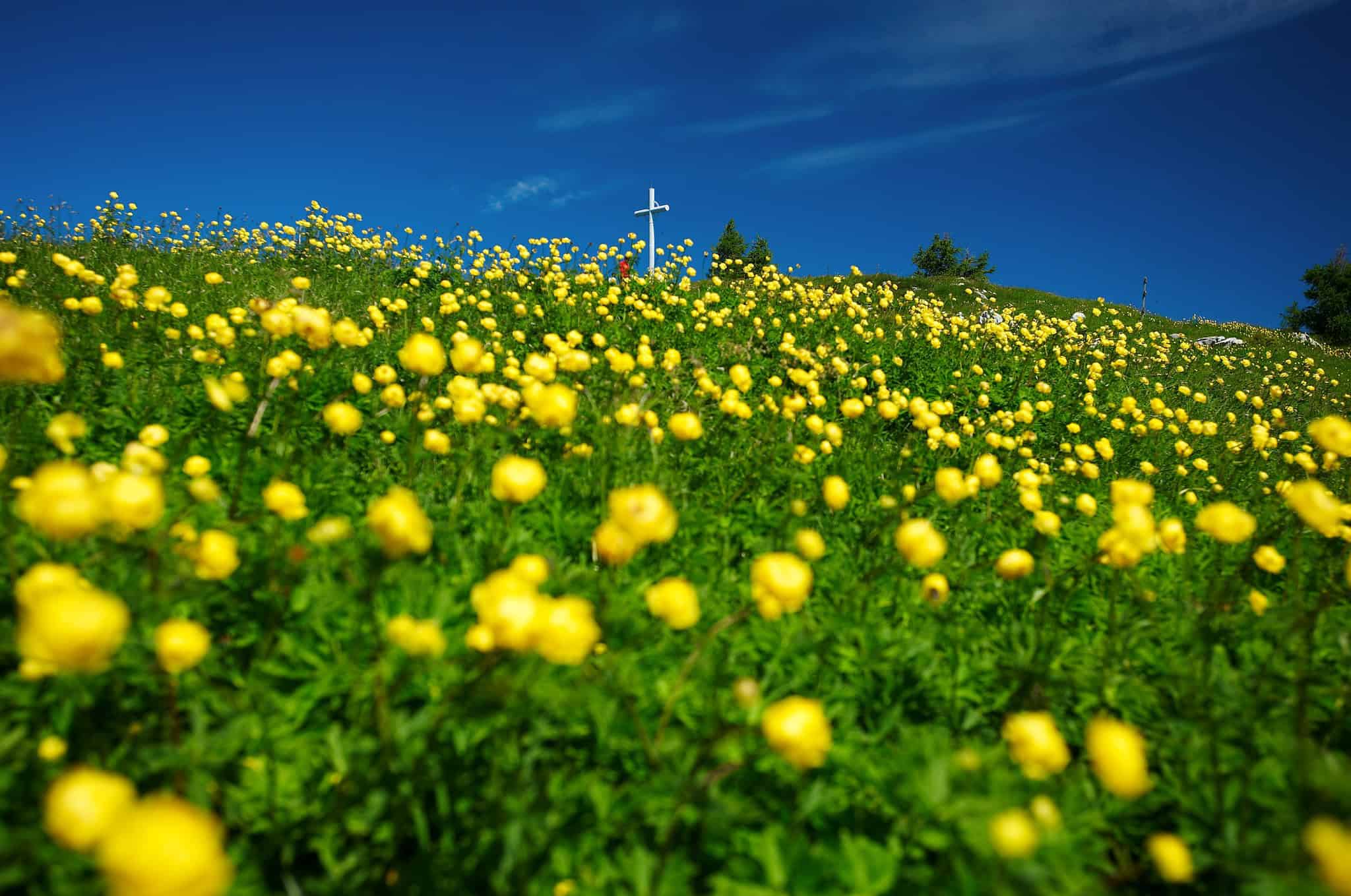 Tudi sreda bo vroča in precej poletna
