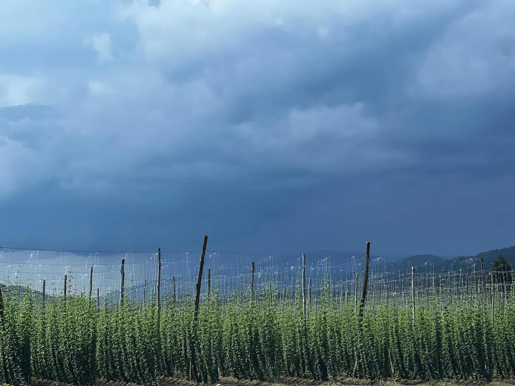 Vreme: Oblačno s plohami in nevihtami